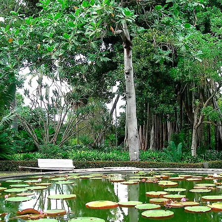 Дом отдыха Spacious With Private Terrace Пуэрто-де-ла-Крус