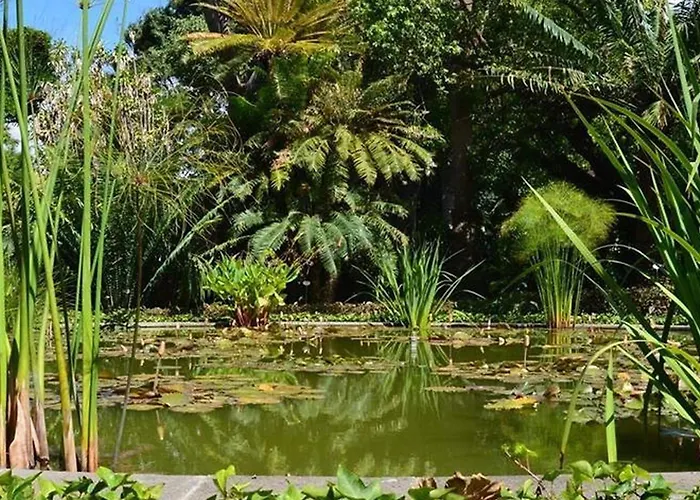 Spacious With Private Terrace * Πουέρτο Ντε Λα Κρουζ